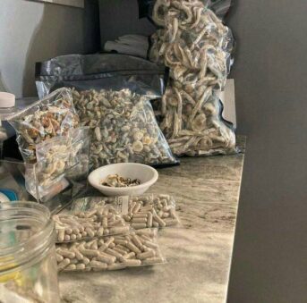 Microdosing vs. Macrodosing Insights: Finding the Right Dose for Your Journey